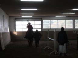 IMG_8339